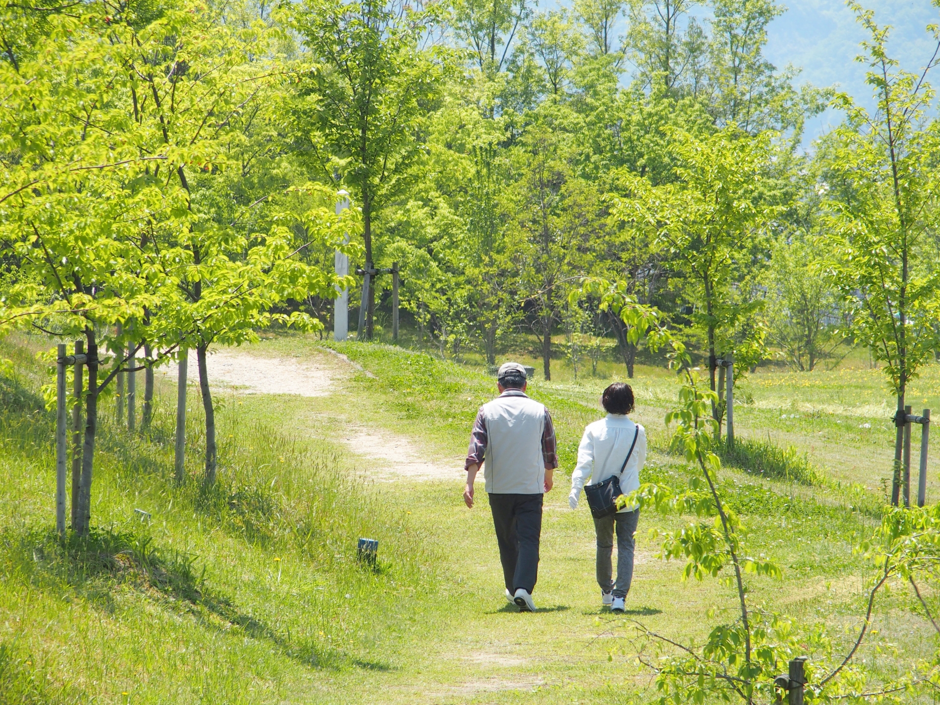 相続問題